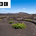 Scenic view of La Geria - Turismo Lanzarote